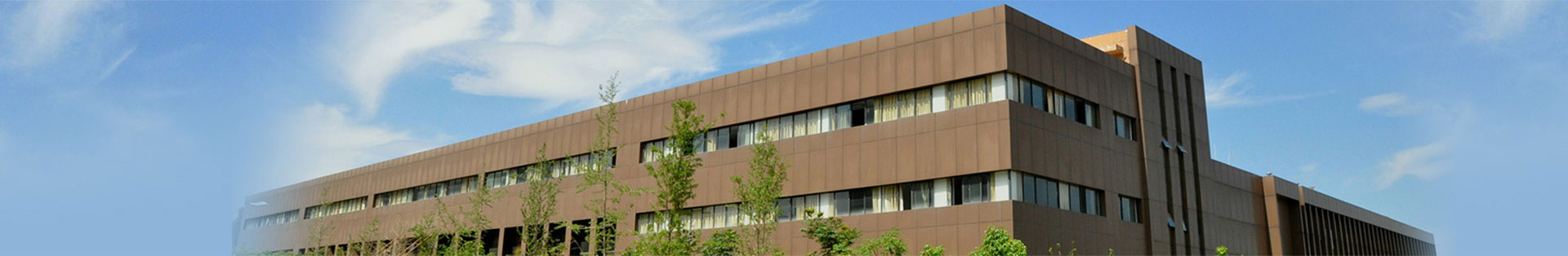 关于1929cc威尼斯