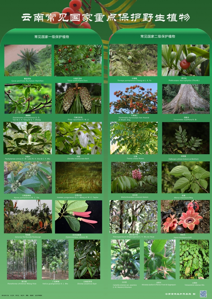 以案普法：：：：抑氐惚；；；ぶ参镒